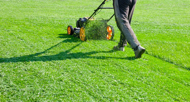 Alexandria, MN Lawn Care